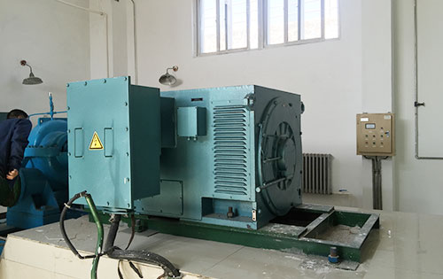 望城某水电站工程主水泵使用我公司高压电机